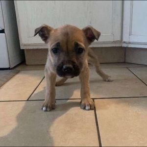 Meet your Posher, Gutierrez